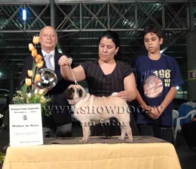 Clique sobre a foto para fechar